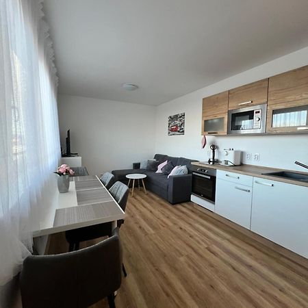 Apartman Roda2 Male Lipno Černá v Pošumaví Εξωτερικό φωτογραφία